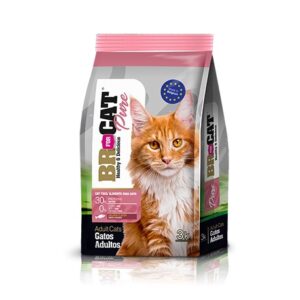 BR FOR CAT SALMON 3KG