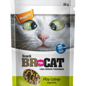 BR FOR CAR SNACK PLAY CATNIP 60 GR